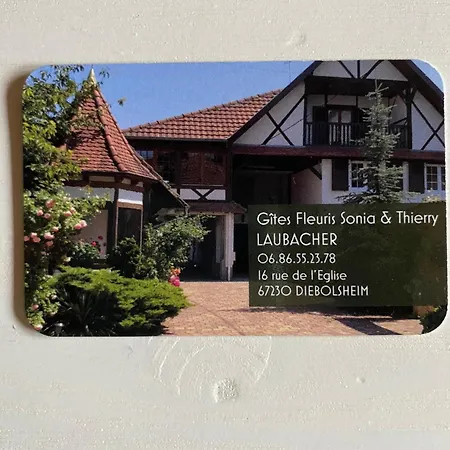 Des Roses Apartament Diebolsheim